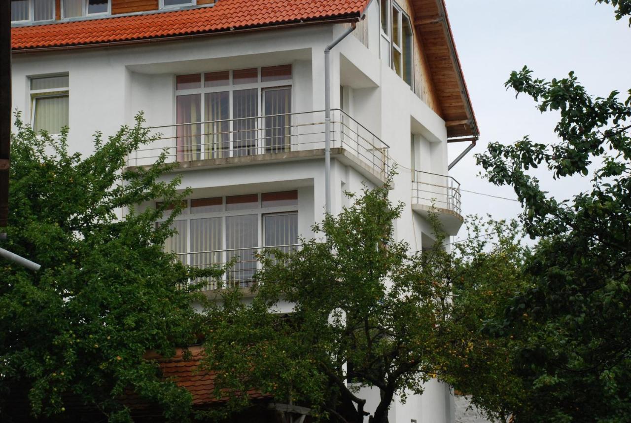 Pension Cote D'Amour Moieciu de Jos Buitenkant foto