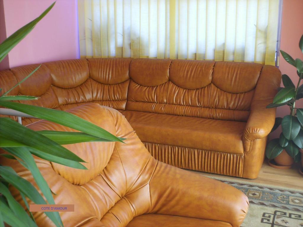 Pension Cote D'Amour Moieciu de Jos Kamer foto